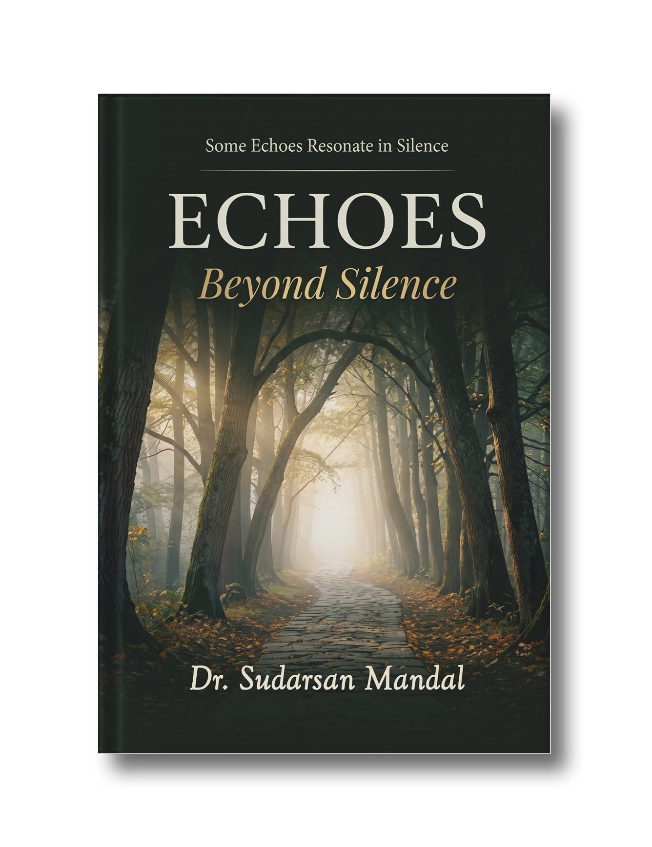 Echoes Beyond Silence