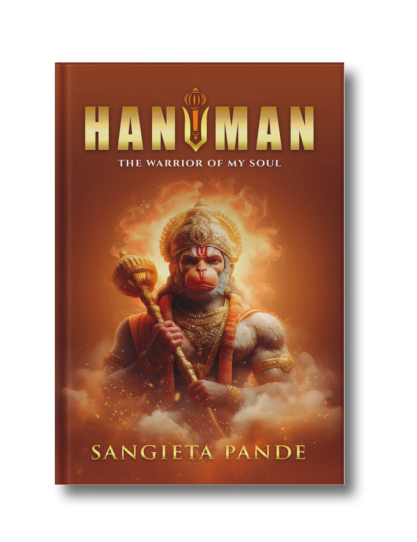 Hanuman: The Warrior of my Soul (Hardcover)