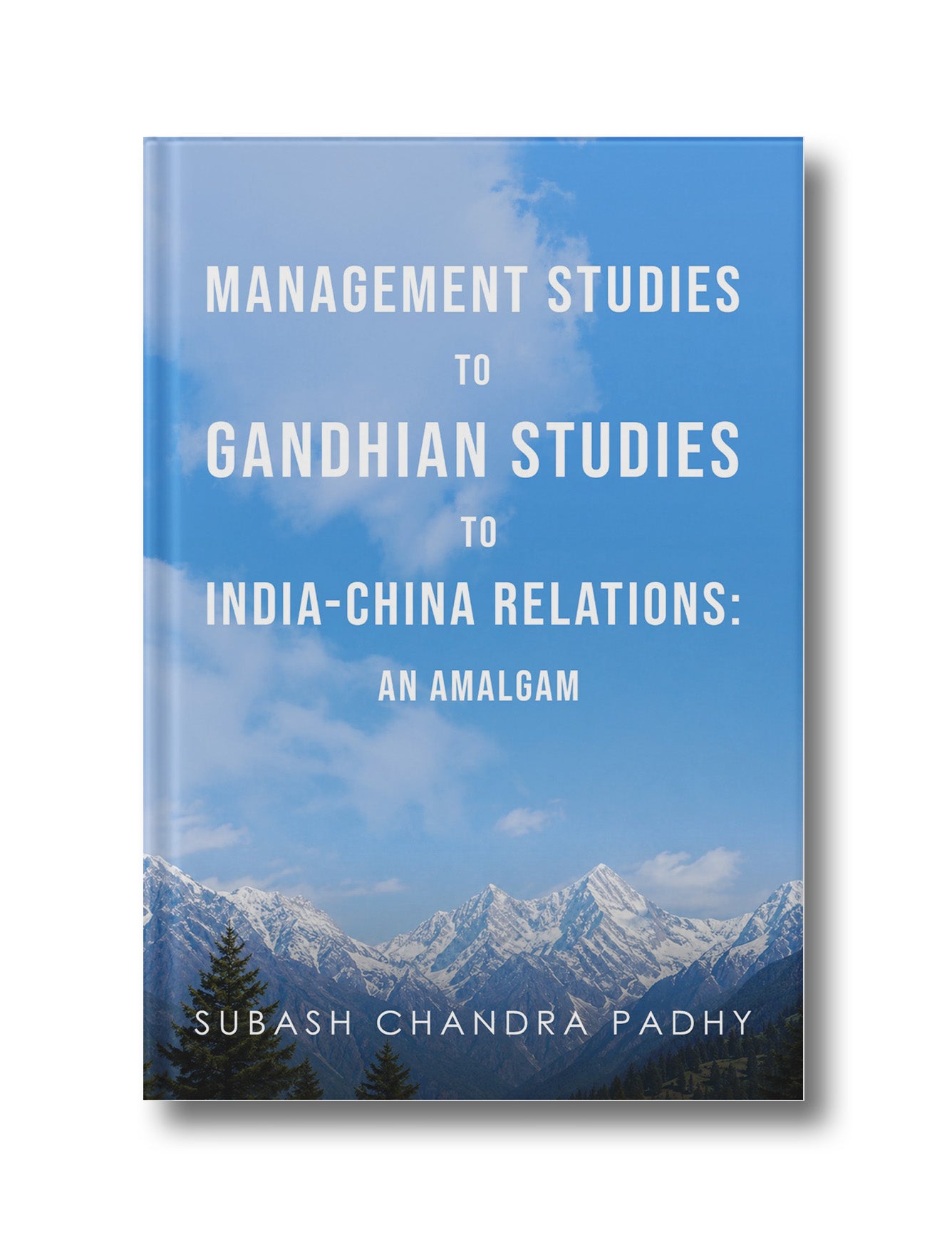 From Management Studies to Gandhian Studies to India-China Relations: An Amalgam