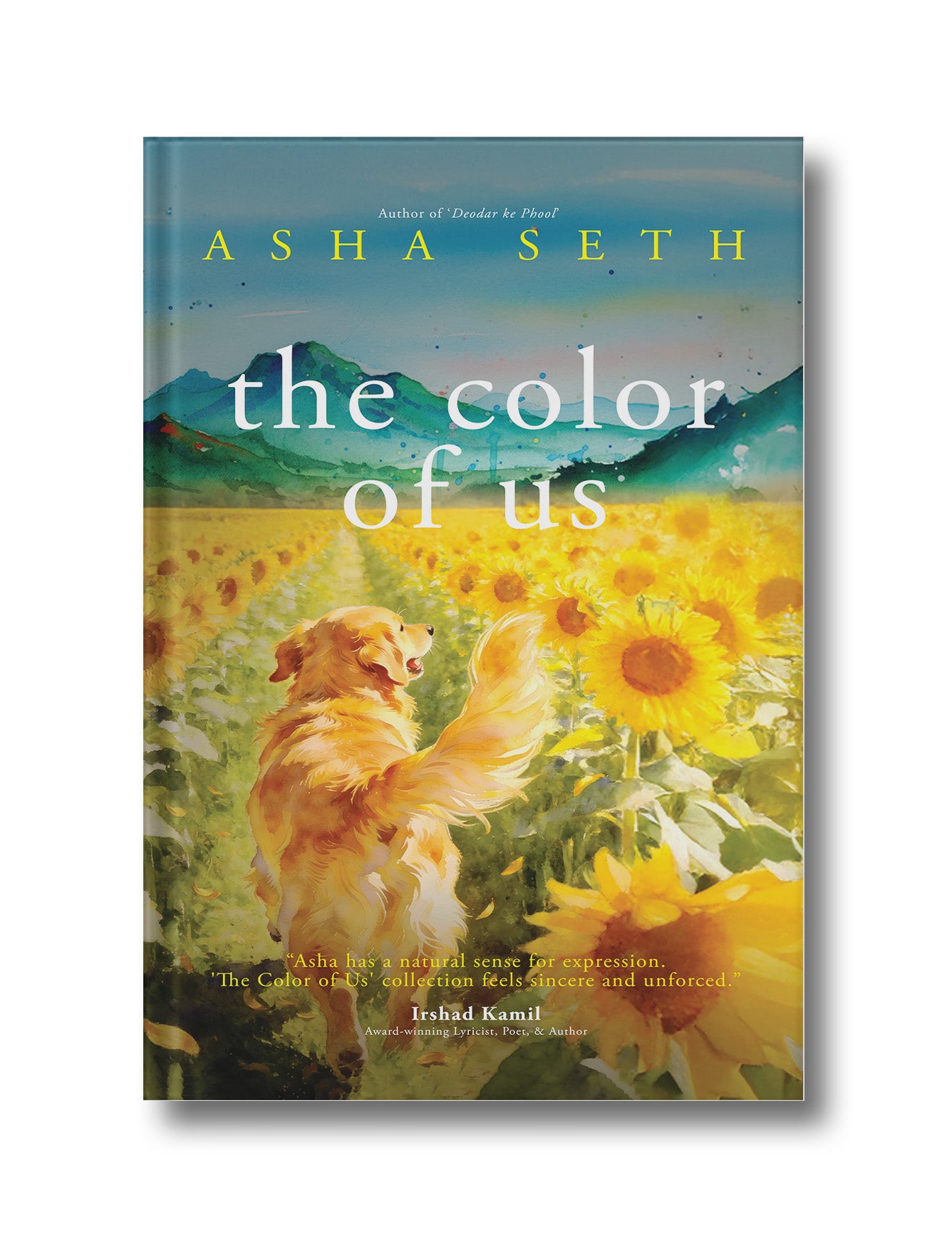 The Color of Us (Hardcover)