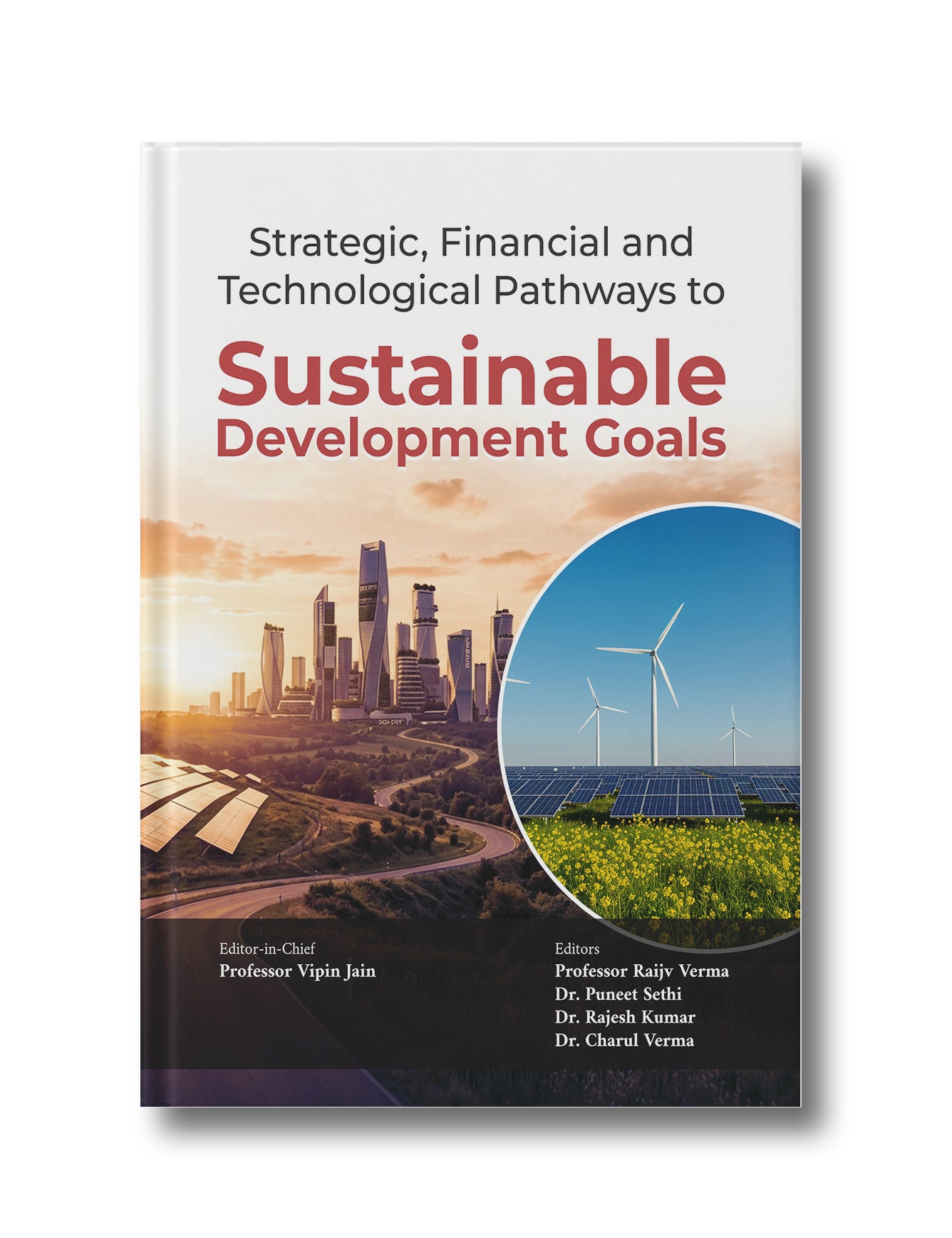 Strategic, Financial and Technological Pathways to Sustainable Development Goals (Hardcover)